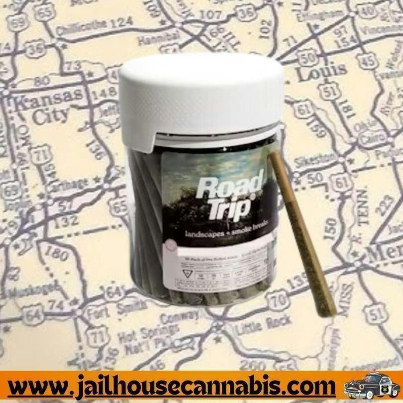 Watermelon Mimosa | Joints | 1g | 50pk