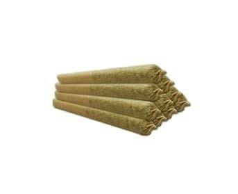 Watermelon Gushers | Joints | 0.5g | 10pk