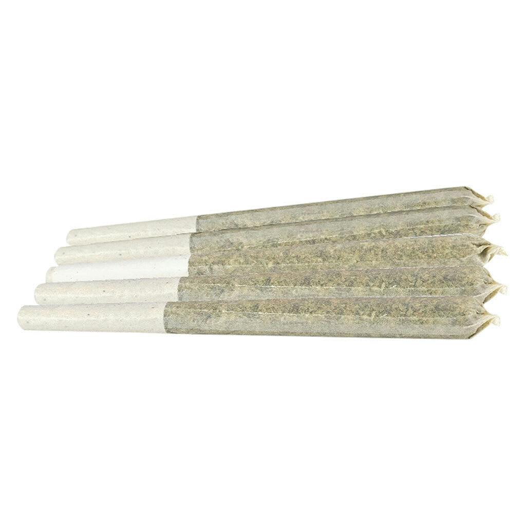 Watermelon Gushers | Joints | 0.5g | 5pk