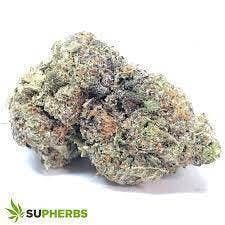 Stankasaurus | Big Buds | 3.5g