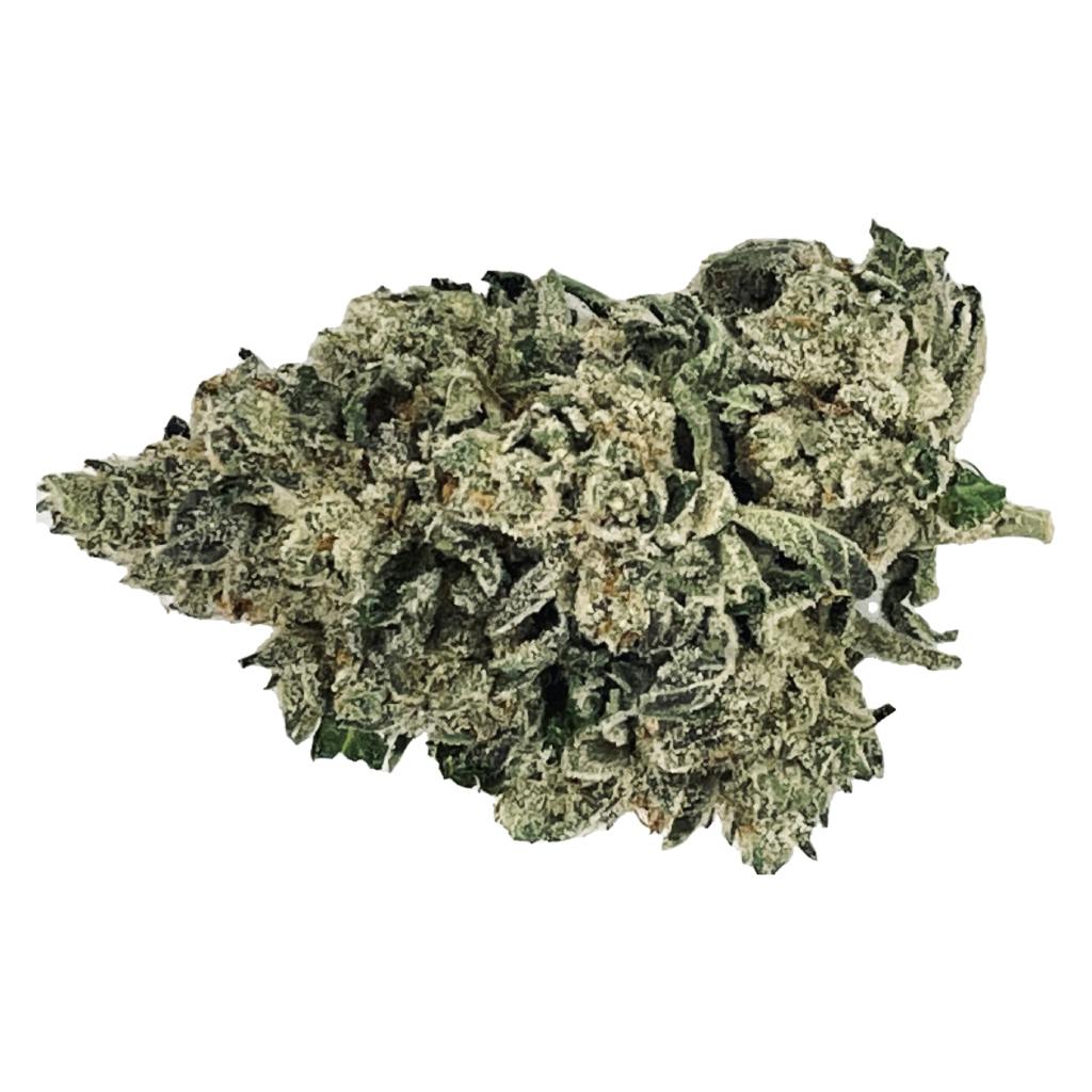 Watermelon | Big Buds | 3.5g