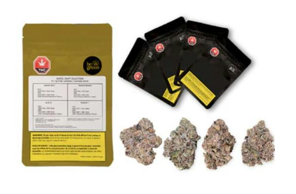 Exotic Craft Collection Variety Pack | Big Buds | 28g