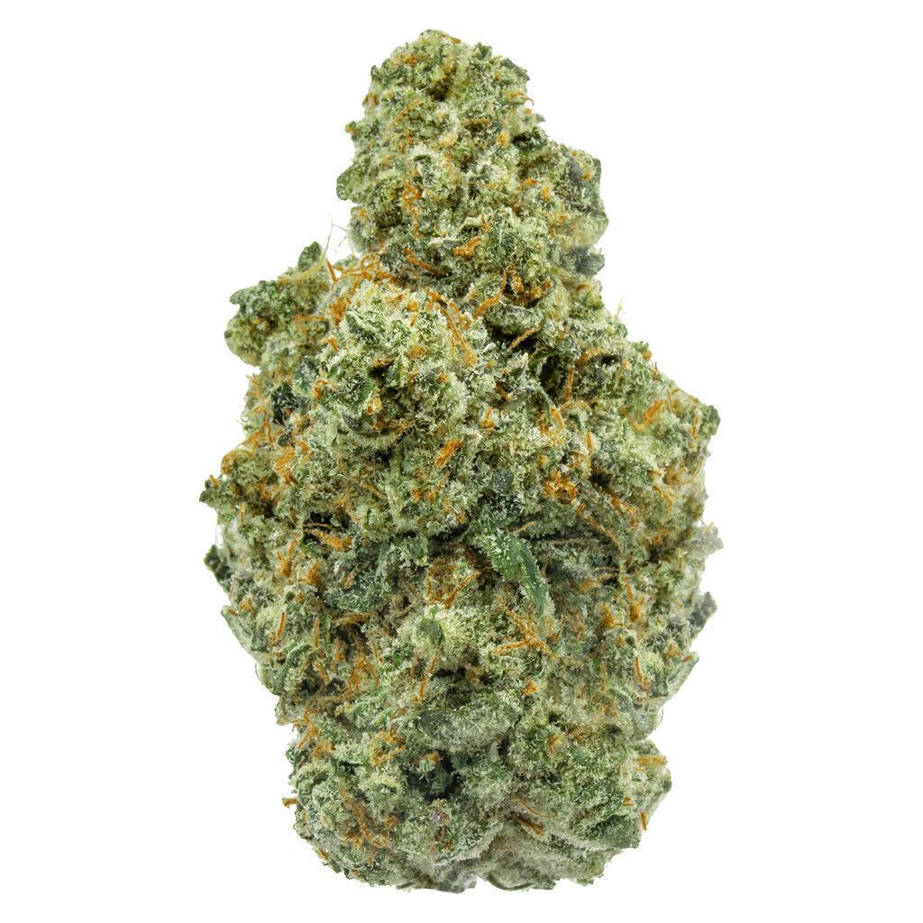 ICC Jungle Mints | 3.5g