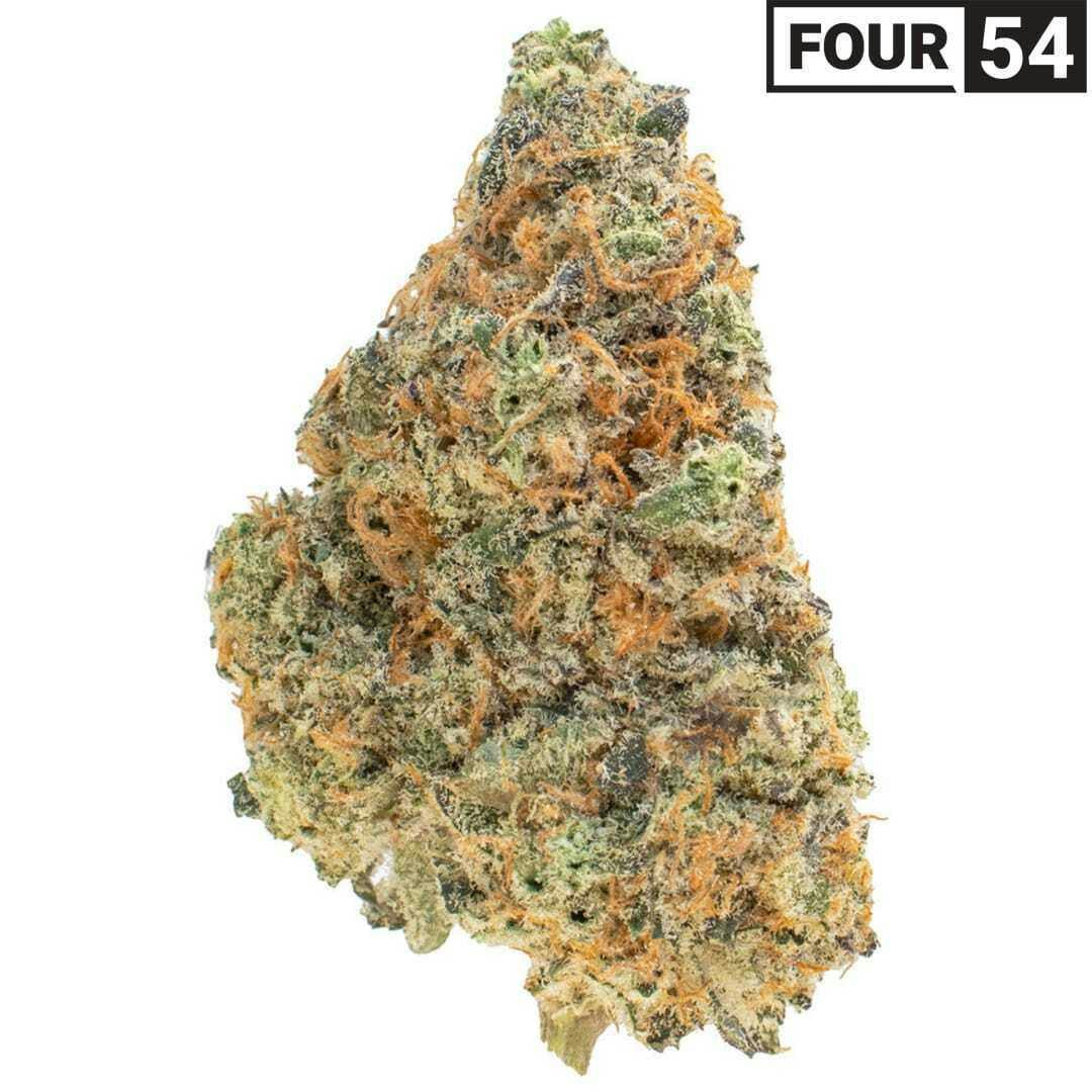 Route 66 | 1g