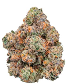 Lobster Royale | Big Buds | 3.5g