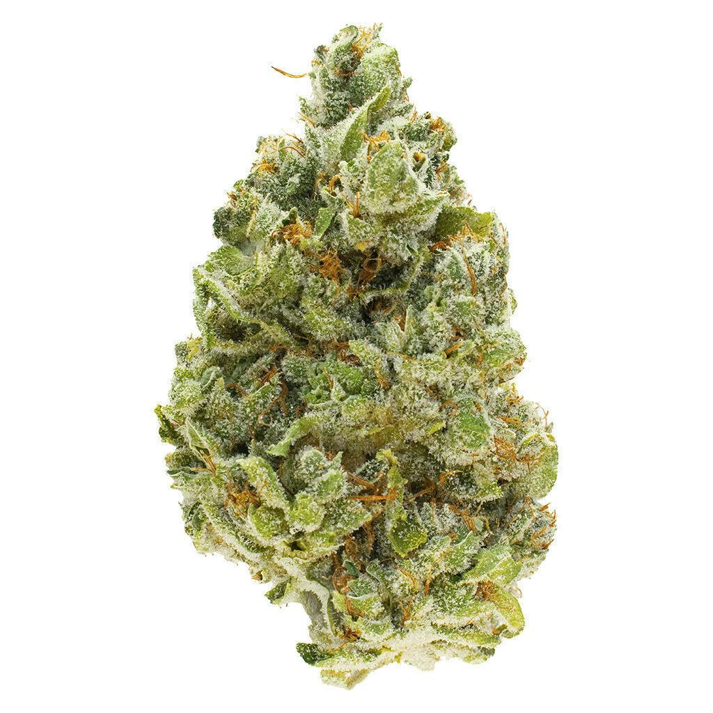 Strawberry Pav | 1g