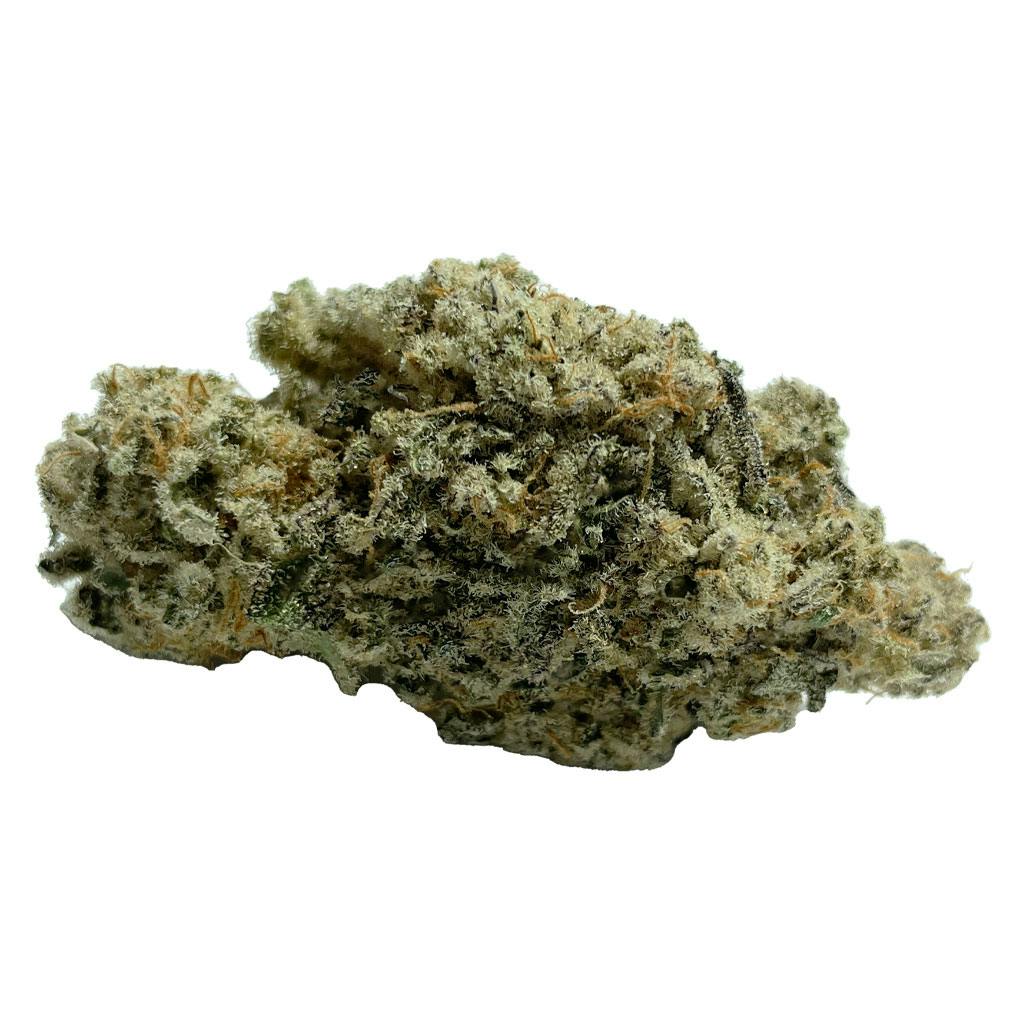 GLUE99 | 3.5g