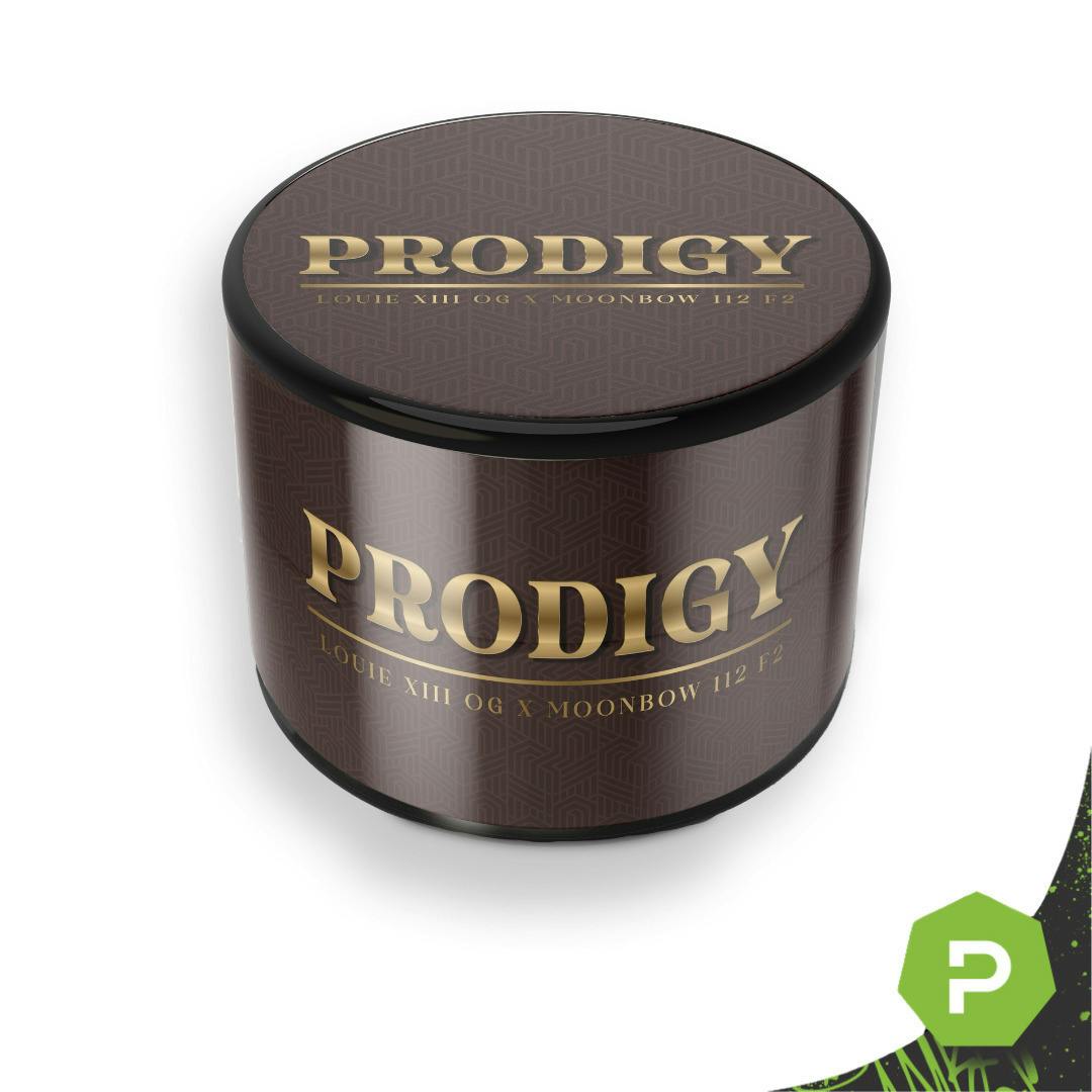 Prodigy | Solventless | Rosin | 1g
