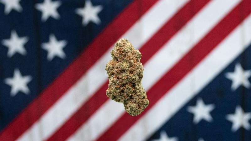 Crippler | 1g at American Grown Tawas
