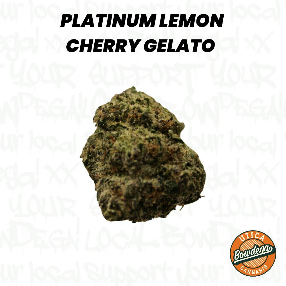 Pink Gatorz | 1g