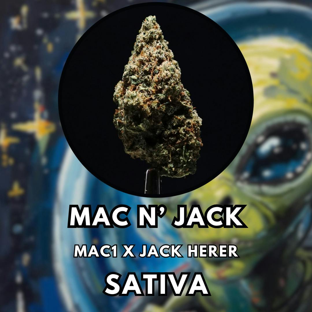 Mac N Jack | 1g