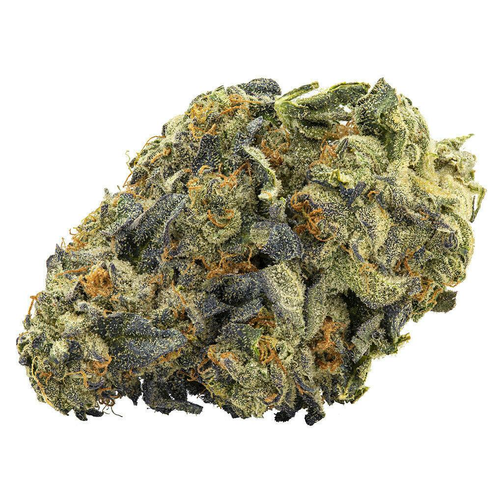 ICC | 3.5g