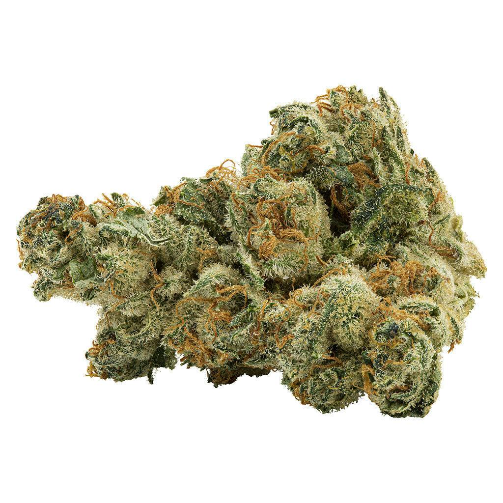 Vanilla Gelato | 28g