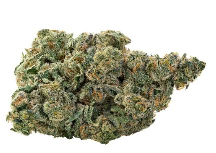 Serial Jealousy | Big Buds | 28g