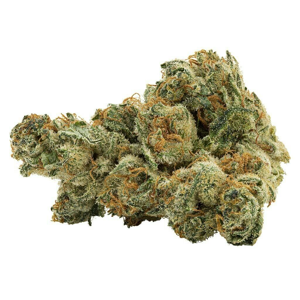 Vanilla Gelato | 3.5g