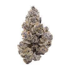 Blue Hill Ave. | Big Buds | 3.5g