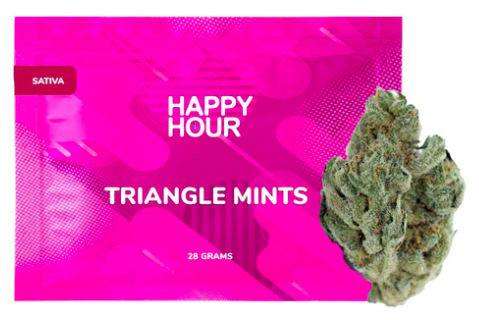 Triangle Mints | 28g