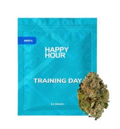 Training Day | 28g