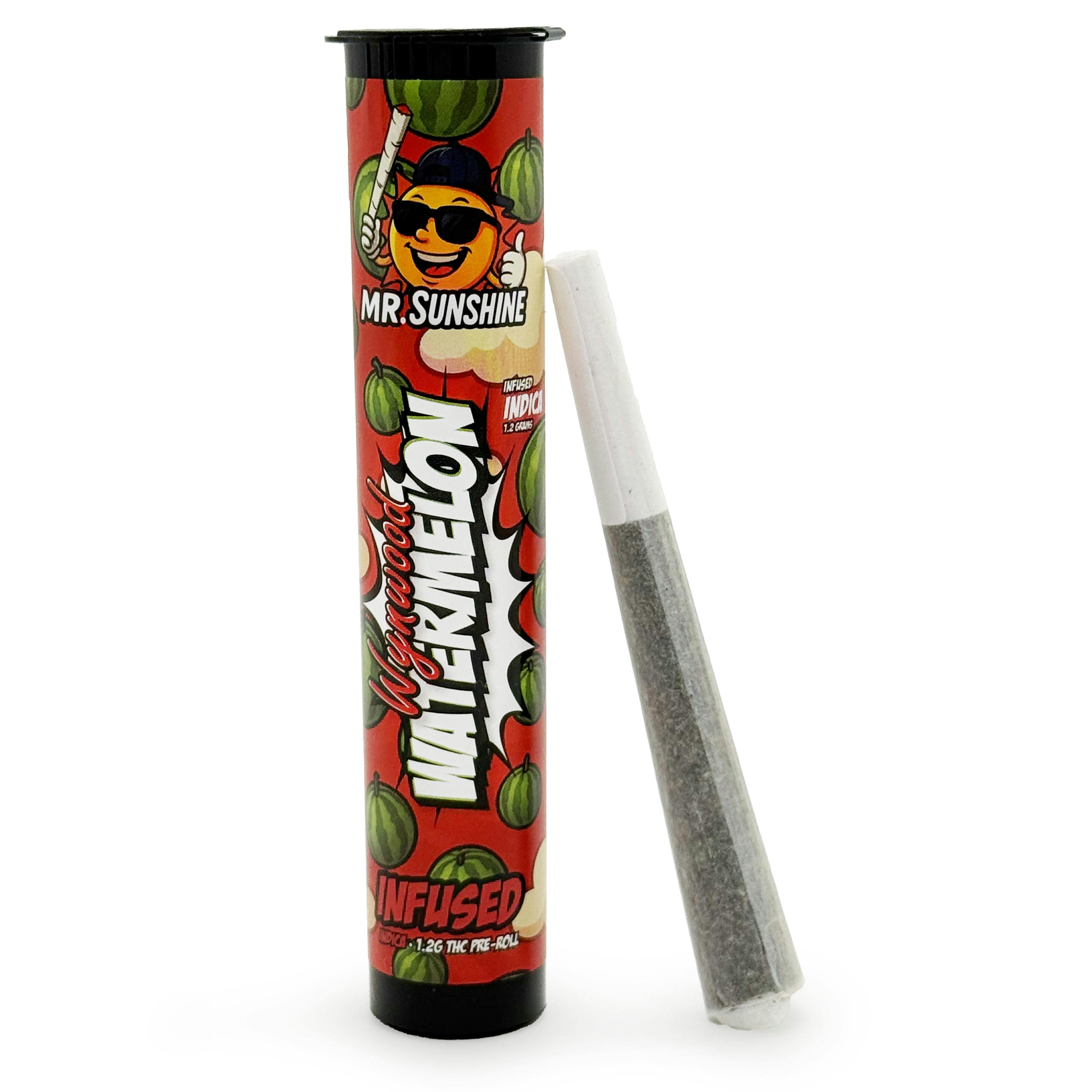 Wynwood Watermelon | Infused Joints | 1.2g