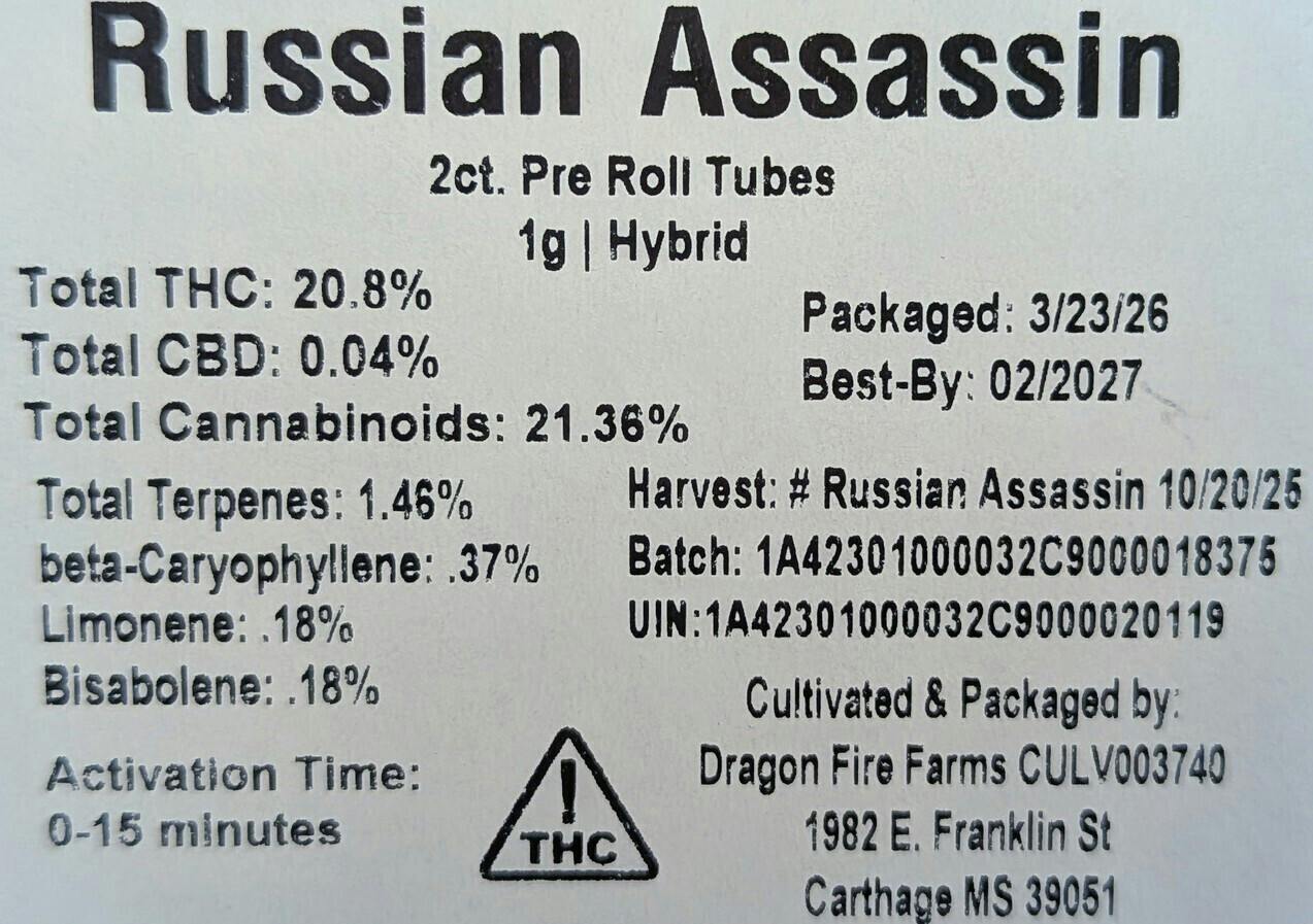 Russian Assassin