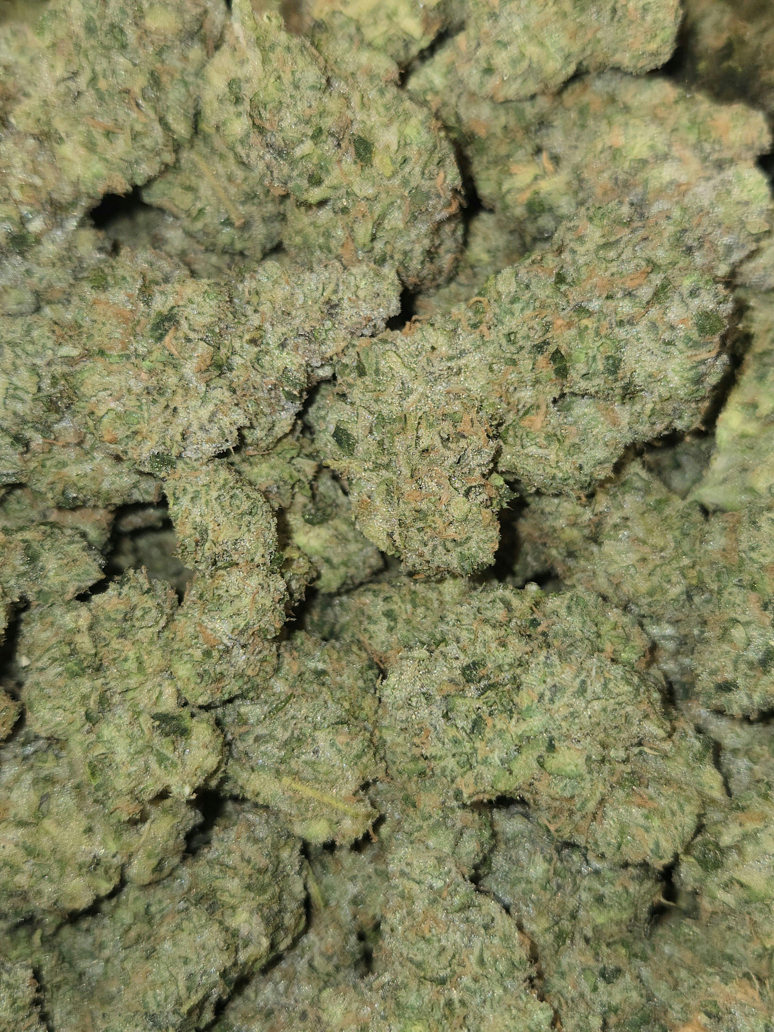 Bluternity | 1g
