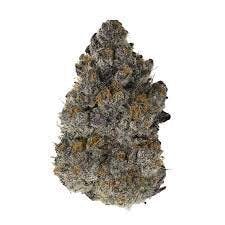 Purple Gelato — Purple Gelato
