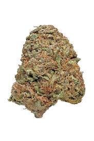 Maui | Flower | 14g