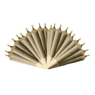 Double Double | Minis | 0.5g | 20pk
