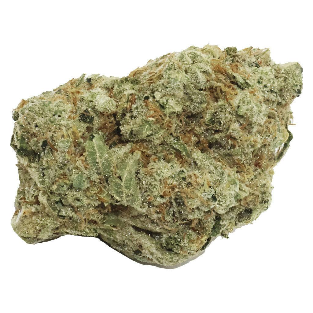 Purple Thai | Big Buds | 14g