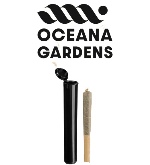 Apple Pie | Joints | 1g at Flower of Life