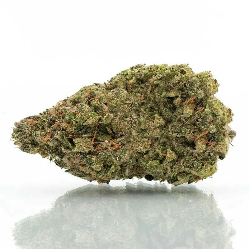 Maple Dream at Dispo Romeo