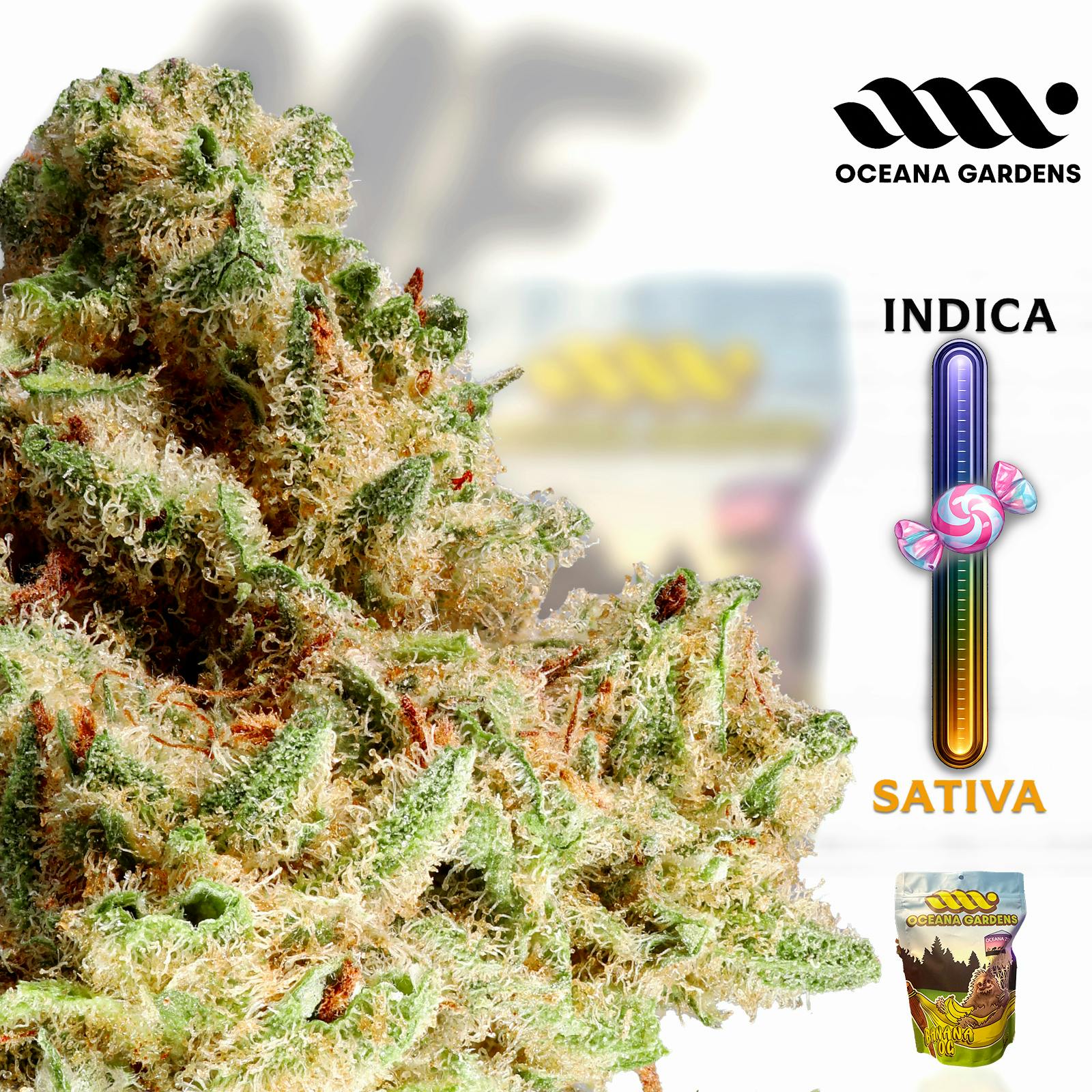 Banana OG | 28g