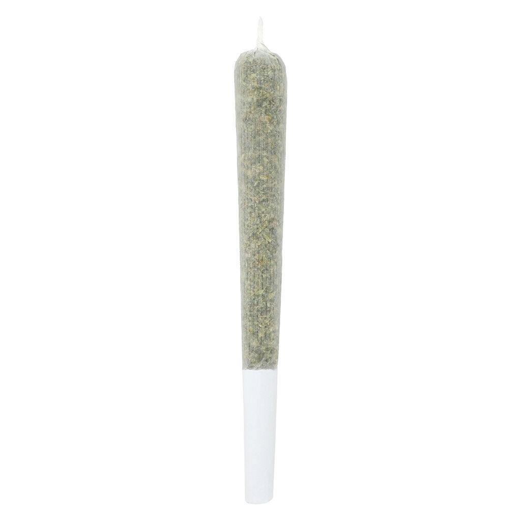 Infused Minis | 0.5g | 3pk