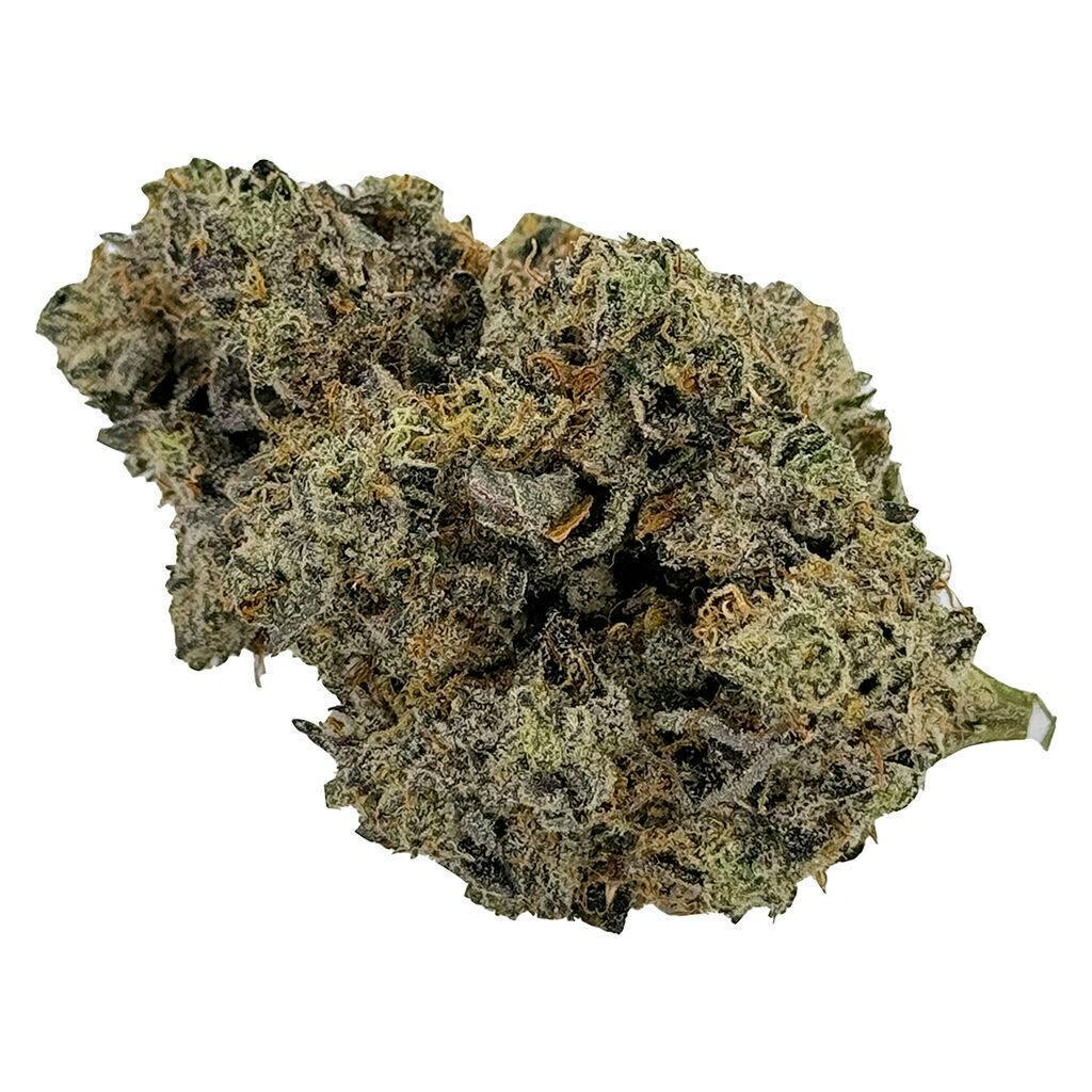 Motor Zoap | Big Buds | 7g