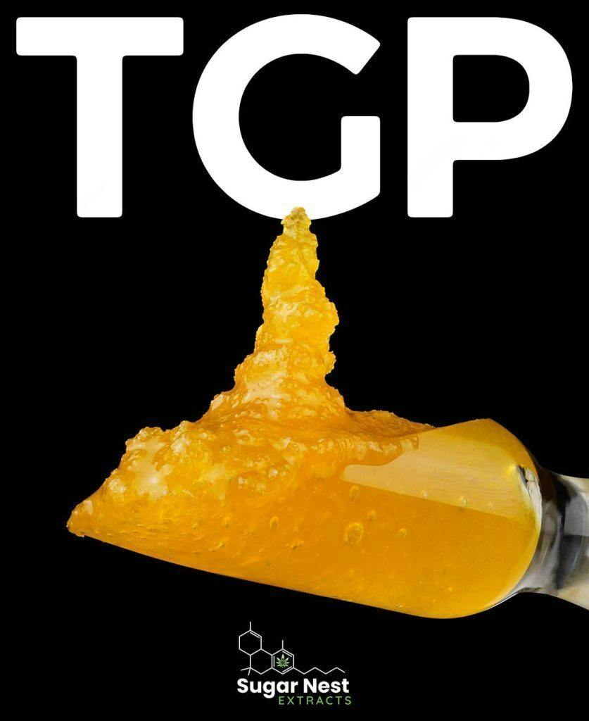 Tangerine Punch | Solvent | Sauce | 1g