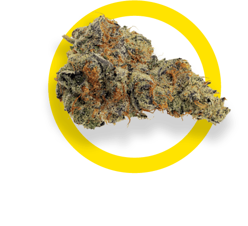 Space Cake | 14g