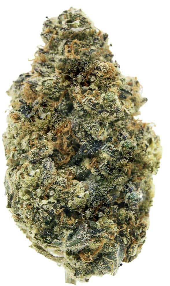 Lemon Tartz | 14g