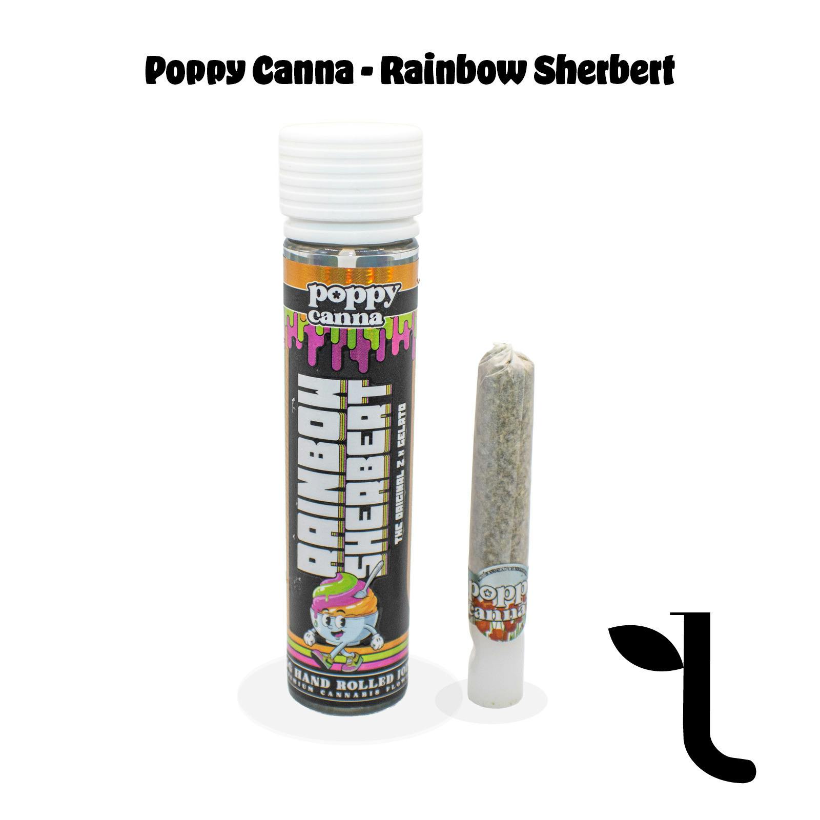 Rainbow Sherbet | Joints | 1.5g