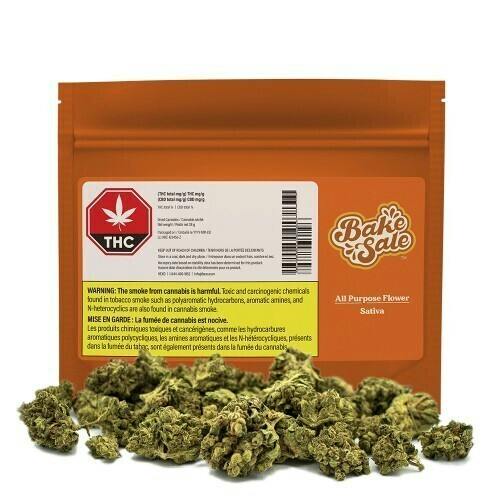 All Purpose Sativa | Big Buds | 28g