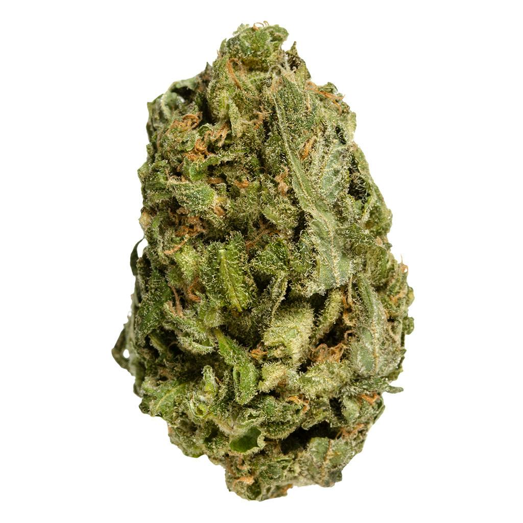 All Purpose Sativa | 28g