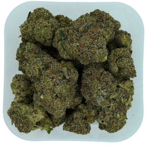 JOKERZ #31 | 1g