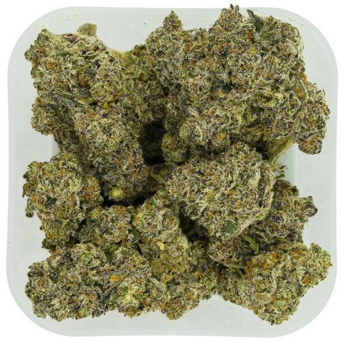 Eye Candy | Big Buds | 1g