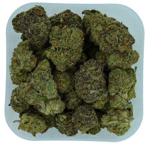 Rose Gold Runtz | 1g