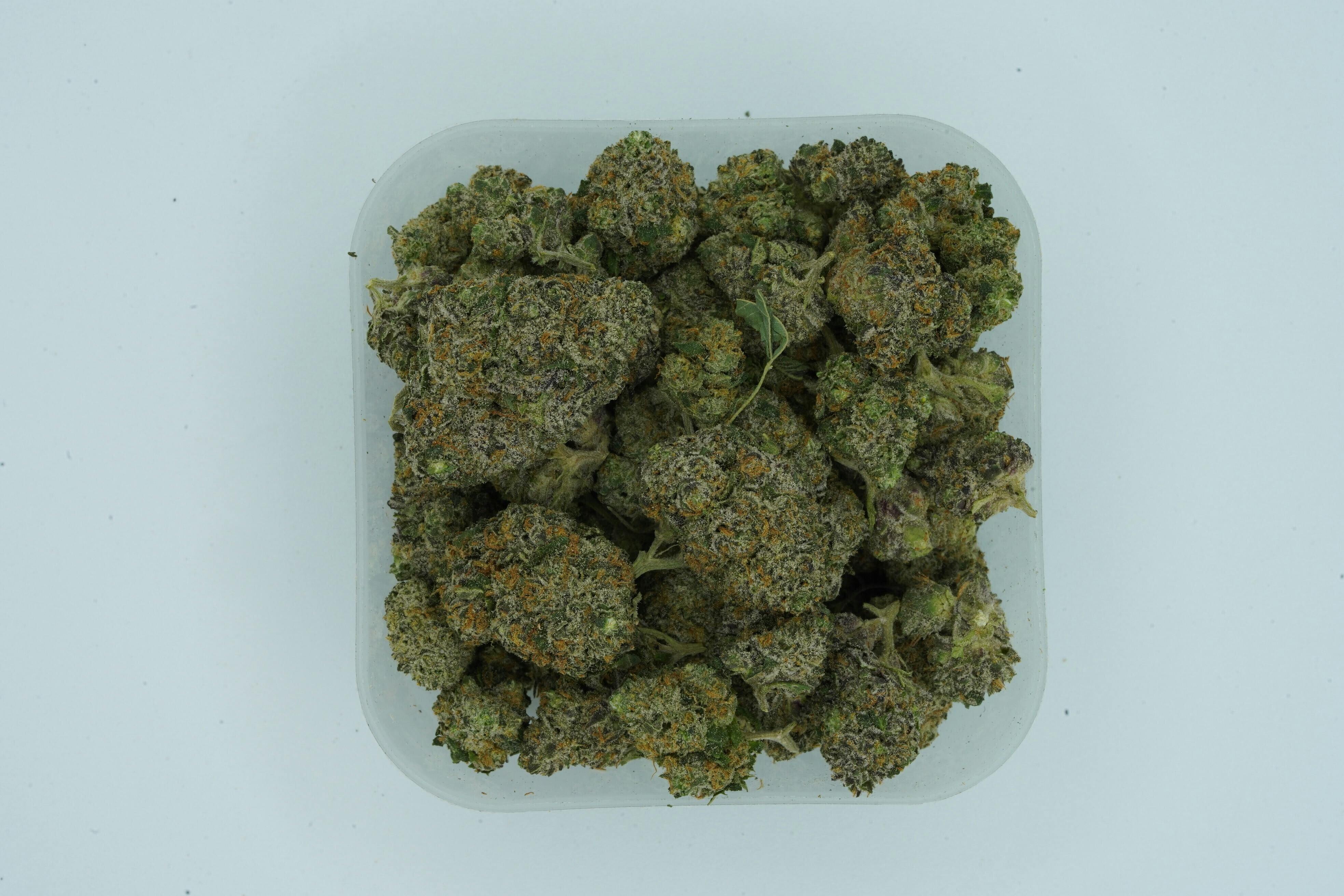 Forbidden Runtz | 1g