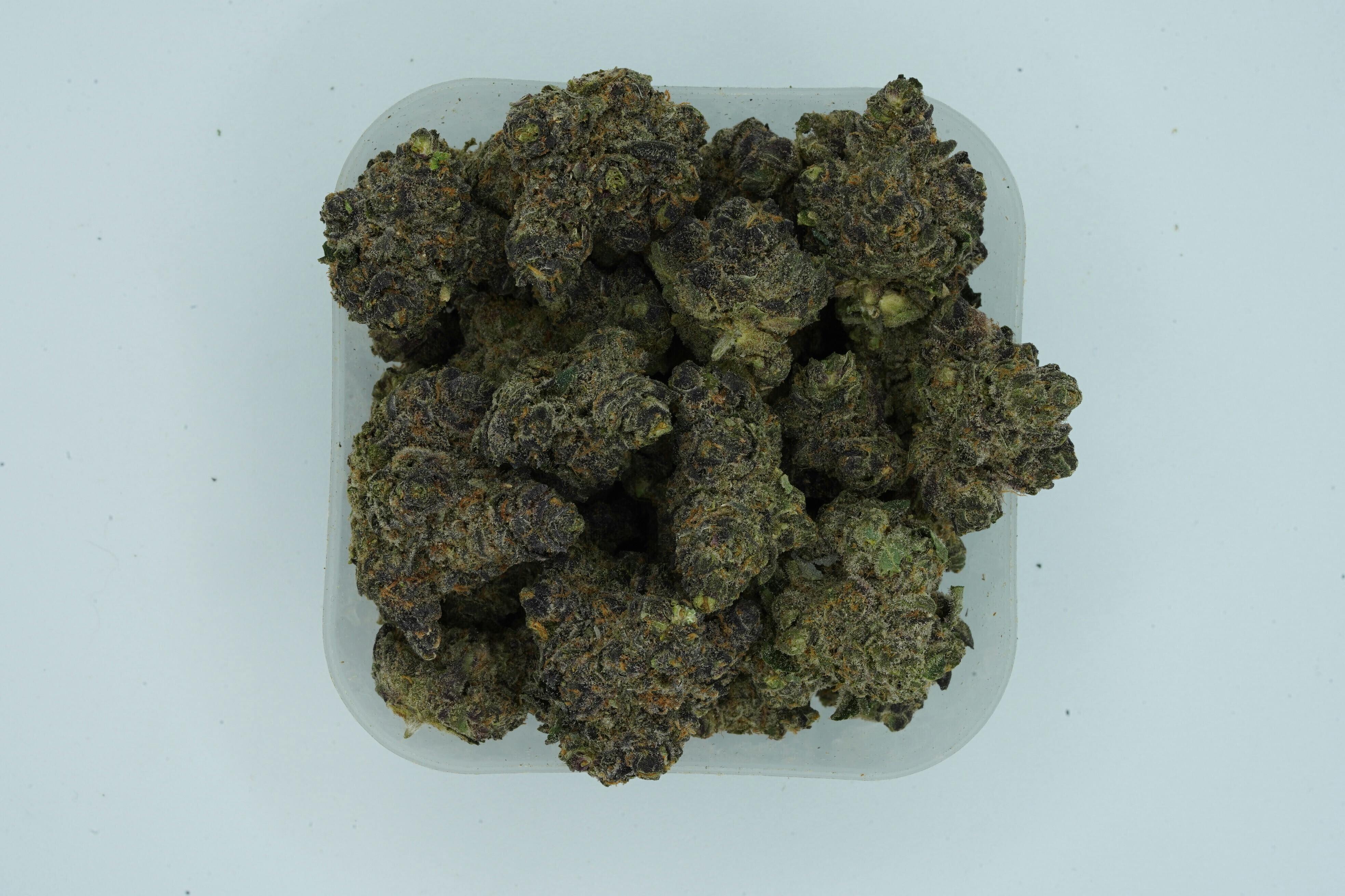 Sunrise Pie | Buds | 1g