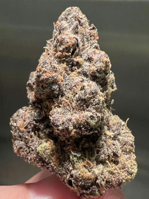 Zkittlez Markers | 1g