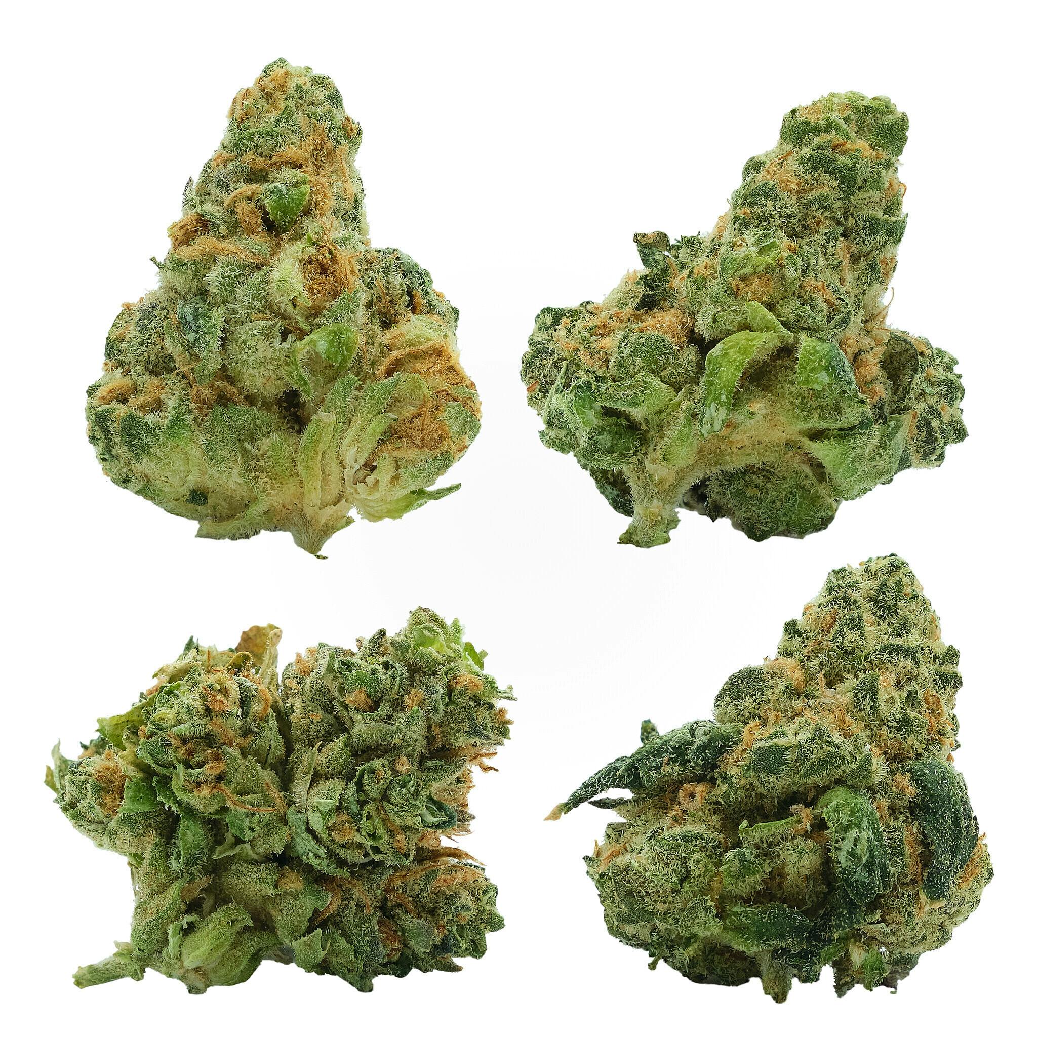 Fierce Animal | Smalls | 3.54g
