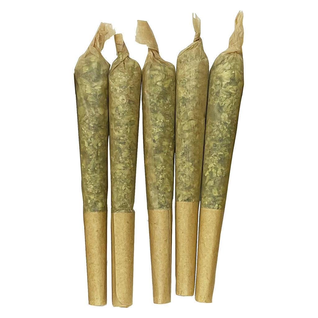 Apricot Cream x Cheese | Minis | 0.5g | 5pk