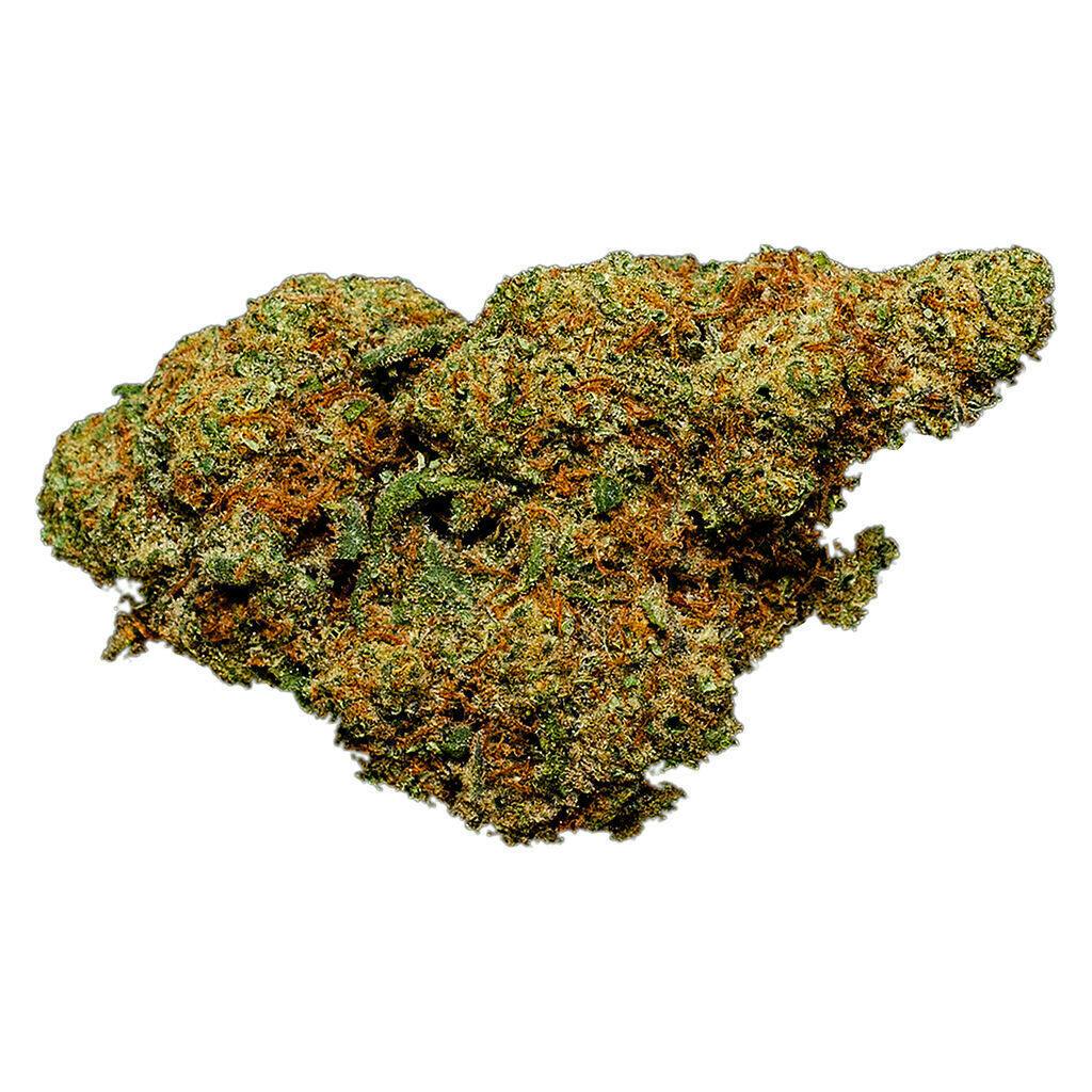 Apricot Cream & Cheese | Big Buds | 3.5g