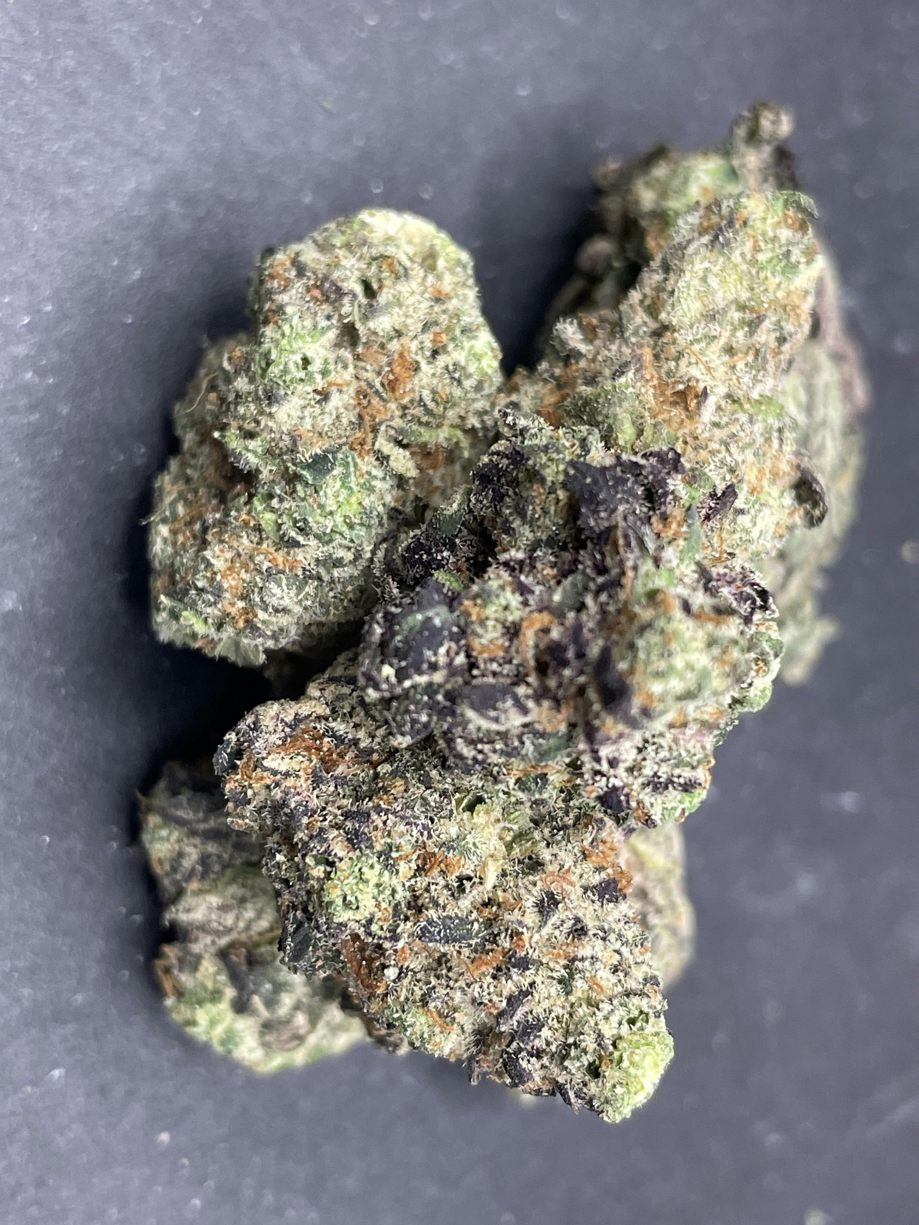Kid Dynamite | 1g
